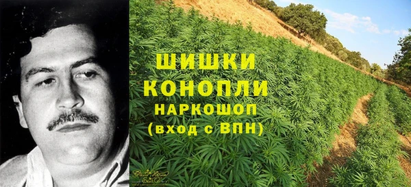 apvp Аркадак