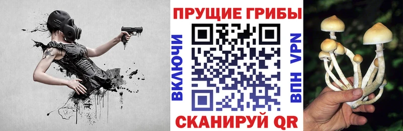 Галлюциногенные грибы Psilocybine cubensis  Спасск-Дальний 