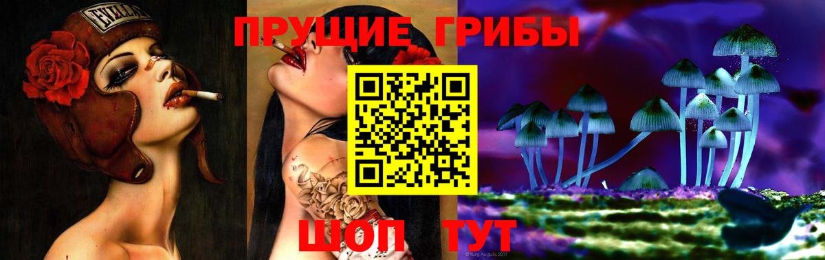 Спасск-Дальний  Галлюциногенные грибы прущие грибы  Вход с VPN 
